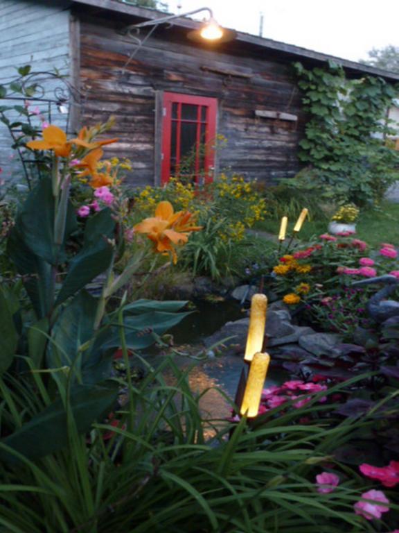 Gite Aux Goglus Saint-Jean-des Piles Esterno foto