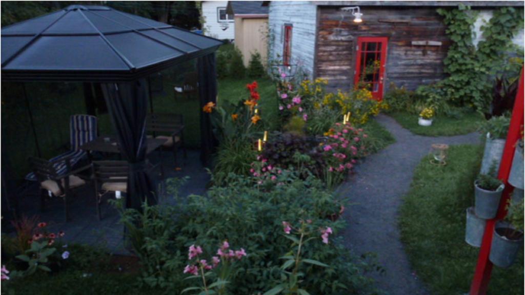 Gite Aux Goglus Saint-Jean-des Piles Esterno foto